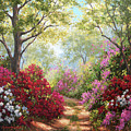 Path in a Dream